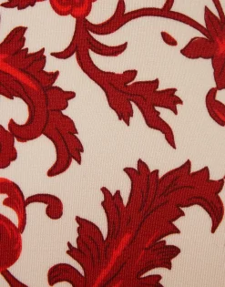 Fonda SwimsuitDragonflower Mini Red in Lycra