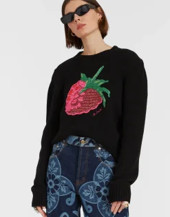 Lampone SweaterBlack in Wool Embroidered