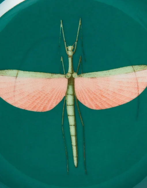 Mini PlateLibellula Green in Porcelain